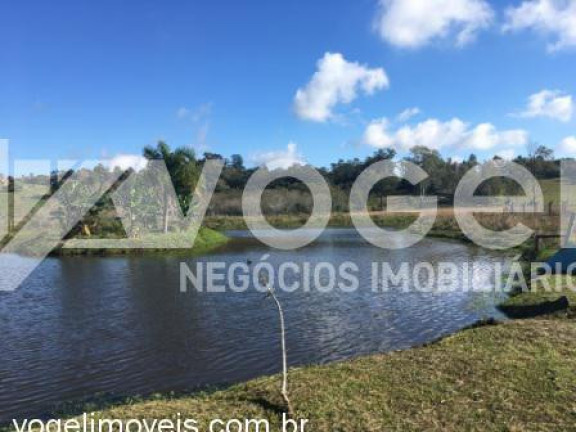 Imagem Imóvel à Venda, 20.000 m² em Bairro Não Informado - Viamao Imagem Imóvel à Venda, 20.000 m² em Bairro Não Informado - Viamao