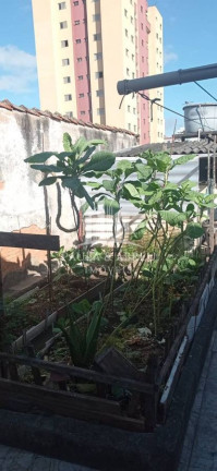 Imagem Casa com 6 Quartos à Venda, 200 m² em Vila Nossa Senhora Das Vitórias - Mauá Imagem Casa com 6 Quartos à Venda, 200 m² em Vila Nossa Senhora Das Vitórias - Mauá