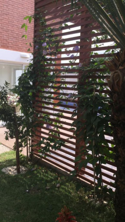 Imagem Casa com 4 Quartos à Venda, 360 m² em Pacaembu - São Paulo