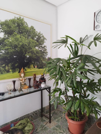 Imagem Casa com 3 Quartos à Venda, 300 m² em Capão Novo - Capao Novo Imagem Casa com 3 Quartos à Venda, 300 m² em Capão Novo - Capao Novo
