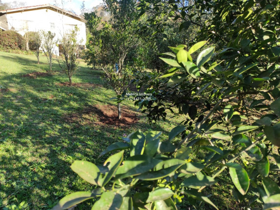 Imagem Imóvel com 5 Quartos à Venda,  em Pau Arcado - Campo Limpo Paulista