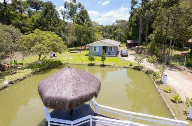Imagem Fazenda à Venda, em Centro - Contenda Imagem Fazenda à Venda, em Centro - Contenda