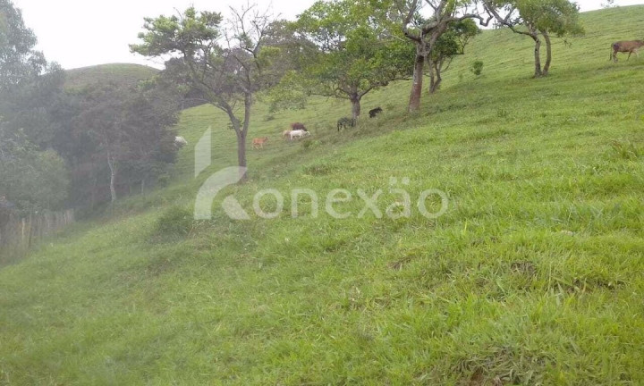 Imagem Fazenda à Venda, 400 m² em Centro - Jacareí Imagem Fazenda à Venda, 400 m² em Centro - Jacareí