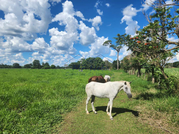 Imagem Fazenda à Venda, 9 m² em Santa Tereza - Pirassununga Imagem Fazenda à Venda, 9 m² em Santa Tereza - Pirassununga