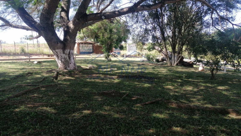 Imagem Fazenda à Venda, 22 m² em Roque - Pirassununga Imagem Fazenda à Venda, 22 m² em Roque - Pirassununga