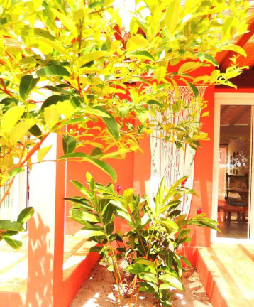 Imagem Casa à Venda, 157 m² em Ponta Da Baleia - Marau Imagem Casa à Venda, 157 m² em Ponta Da Baleia - Marau