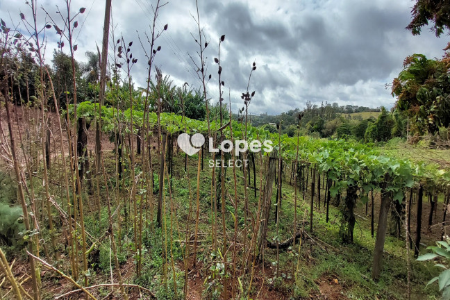 Imagem Imóvel com 1 Quarto à Venda, 43.000 m² em Parque Eldorado - Campinas