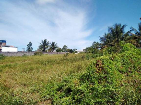 Imagem Terreno à Venda, 3 m² em Aparecidinha - Piúma Imagem Terreno à Venda, 3 m² em Aparecidinha - Piúma