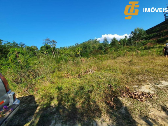 Terreno à Venda, 3.000 m² em Moura - Canelinha