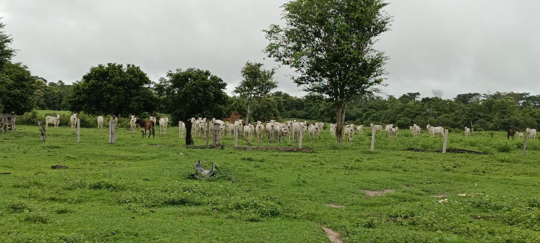 Imagem Chácara à Venda, 884 m² em Centro - Paranatinga Imagem Chácara à Venda, 884 m² em Centro - Paranatinga