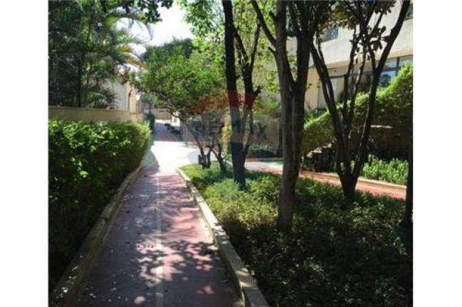 Imagem Apartamento com 4 Quartos à Venda, 489 m² em Saúde - São Paulo Imagem Apartamento com 4 Quartos à Venda, 489 m² em Saúde - São Paulo