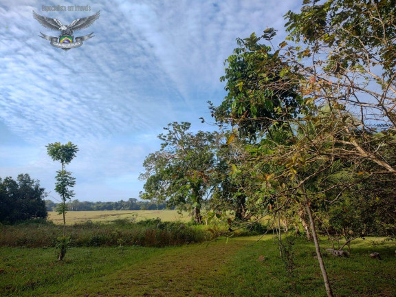 Imagem Fazenda à Venda, em Marapanim Imagem Fazenda à Venda, em Marapanim