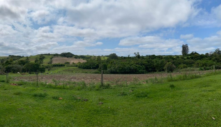 Imagem Imóvel com 5 Quartos à Venda, 18.150 m² em Vira Copos - Itapetininga Imagem Imóvel com 5 Quartos à Venda, 18.150 m² em Vira Copos - Itapetininga