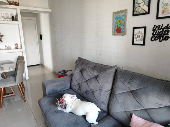 Imagem Apartamento com 2 Quartos à Venda, 10 m² em Castelo - Santos
