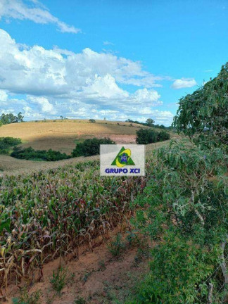 Imagem Fazenda à Venda, 2.560.000 m² em Zona Rural - São Tiago Imagem Fazenda à Venda, 2.560.000 m² em Zona Rural - São Tiago