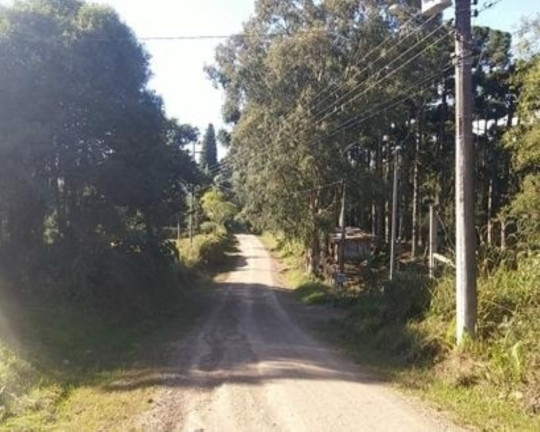 Imagem Terreno à Venda, 5.000 m² em Linha Imperial - Nova Petrópolis