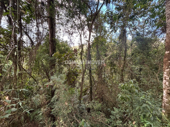 Imagem Terreno à Venda, 5.820 m² em Região Do Parque Da água Santa - Campos Do Jordão