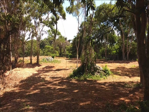 Imagem Imóvel à Venda, 4.500 m² em Estrada Do Coco - Lauro De Freitas