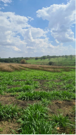 Imagem Chácara à Venda, 400 m² em área Rural De Luziânia - Luziânia Imagem Chácara à Venda, 400 m² em área Rural De Luziânia - Luziânia
