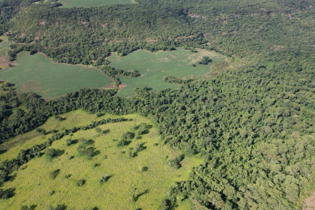 Imagem Fazenda à Venda, 160 m² em Zona Rural - Rio Verde