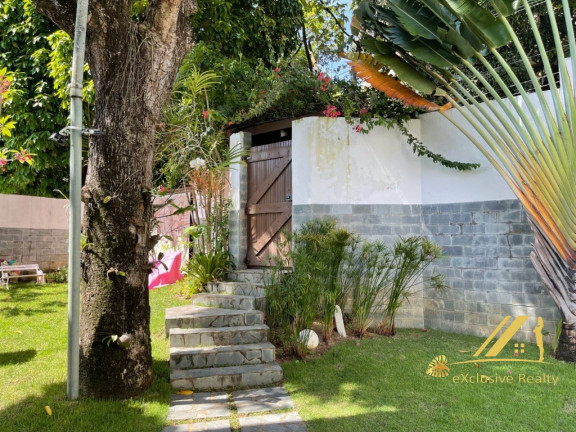 Imagem Apartamento com 3 Quartos para Alugar, 310 m² em Horto Florestal - Salvador