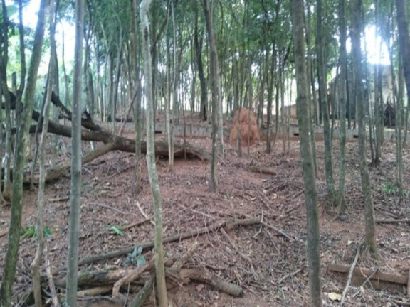 Imagem Terreno à Venda, 1.740 m² em Chácaras Cotia - Contagem Imagem Terreno à Venda, 1.740 m² em Chácaras Cotia - Contagem