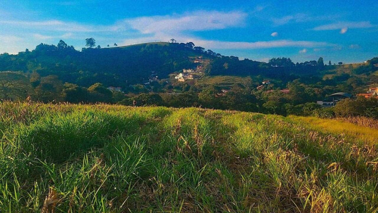 Imagem Terreno à Venda, 8.000 m² em Centro - Vargem Imagem Terreno à Venda, 8.000 m² em Centro - Vargem