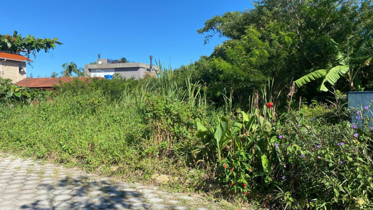 Imagem Terreno à Venda, 530 m² em Praia Da Ferrugem - Garopaba Imagem Terreno à Venda, 530 m² em Praia Da Ferrugem - Garopaba