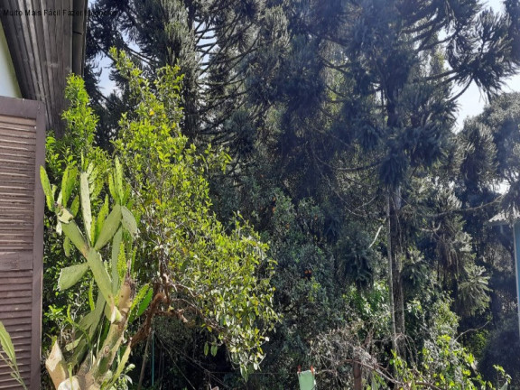 Imagem Terreno à Venda, 160 m² em Bavária - Nova Petrópolis Imagem Terreno à Venda, 160 m² em Bavária - Nova Petrópolis