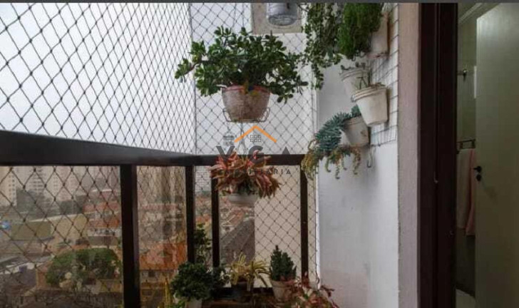 Imagem Apartamento com 3 Quartos à Venda, 84 m² em Vila Gomes Cardim - São Paulo