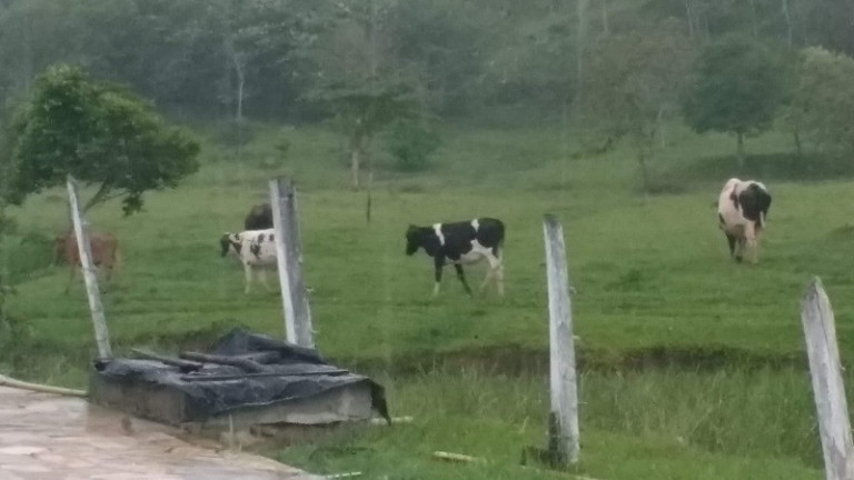 Imagem Imóvel à Venda, em Jacareí Imagem Imóvel à Venda, em Jacareí