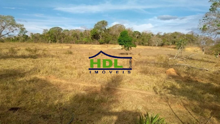 Imagem Fazenda à Venda, 32 m² em Zona Rural - Professor Jamil Imagem Fazenda à Venda, 32 m² em Zona Rural - Professor Jamil