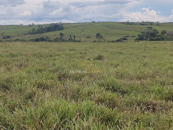 Imagem Imóvel com 3 Quartos à Venda, 4.646 m² em Centro - Tomé-açu Imagem Imóvel com 3 Quartos à Venda, 4.646 m² em Centro - Tomé-açu