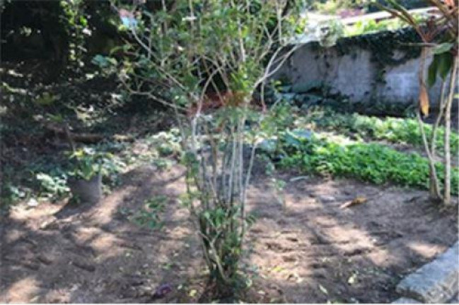 Imagem Terreno à Venda, 600 m² em Vargem Pequena - Rio De Janeiro