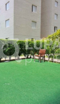 Imagem Apartamento com 3 Quartos à Venda, 62 m² em Vila Guilherme - São Paulo Imagem Apartamento com 3 Quartos à Venda, 62 m² em Vila Guilherme - São Paulo