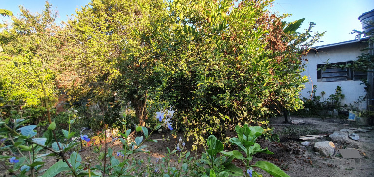 Terreno à Venda, 1.000 m² em Dumaville - Esmeraldas