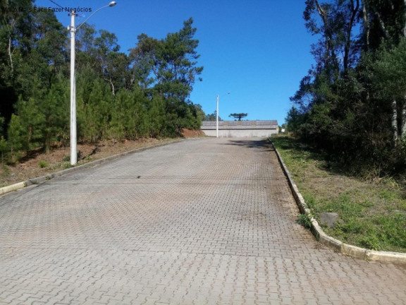 Imagem Terreno à Venda, 1.517 m² em Juriti - Nova Petrópolis Imagem Terreno à Venda, 1.517 m² em Juriti - Nova Petrópolis
