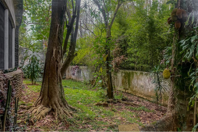 Imagem Casa com 3 Quartos à Venda,  em Pacaembu - São Paulo