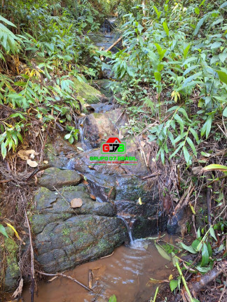 Imagem Chácara à Venda, 8 m² em São Francisco Xavier - São José Dos Campos Imagem Chácara à Venda, 8 m² em São Francisco Xavier - São José Dos Campos