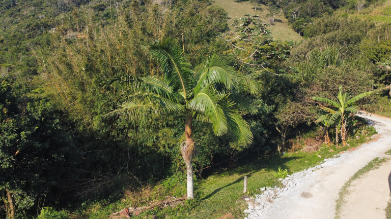 Imagem Terreno à Venda, 1.759 m² em Praia Da Silveira - Garopaba Imagem Terreno à Venda, 1.759 m² em Praia Da Silveira - Garopaba