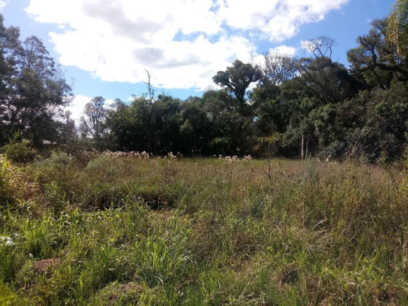 Terreno à Venda, 450 m² em Fazenda Pirajá - Nova Petrópolis