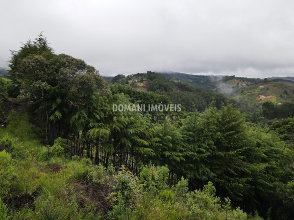 Imagem Imóvel à Venda, 1.500 m² em Região De Descansópolis - Campos Do Jordão Imagem Imóvel à Venda, 1.500 m² em Região De Descansópolis - Campos Do Jordão