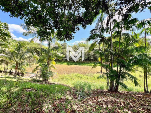 Imagem Chácara com 4 Quartos à Venda, 10.000 m² em Quarenta Horas (coqueiro) - Ananindeua