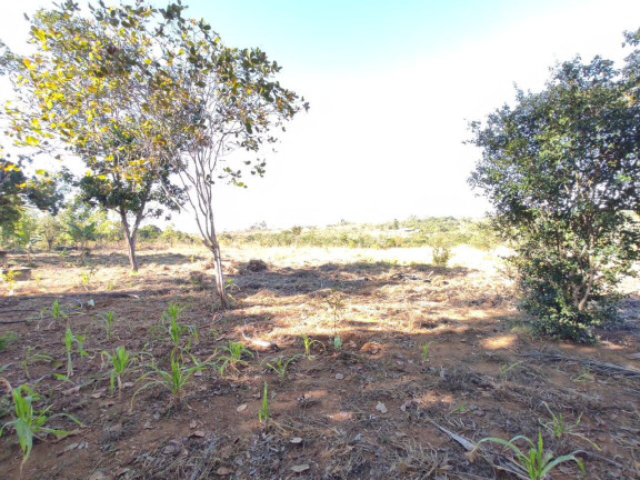 Imagem Chácara à Venda, 5.000 m² em Parque Las Vegas - Bela Vista De Goiás Imagem Chácara à Venda, 5.000 m² em Parque Las Vegas - Bela Vista De Goiás