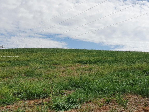Imagem Terreno à Venda, 30 m² em Br 277 - Curitiba Imagem Terreno à Venda, 30 m² em Br 277 - Curitiba