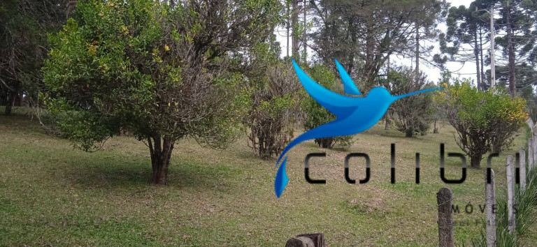 Imagem Chácara com 1 Quarto à Venda, 89.620 m² em Pedra Branca - Agudos Do Sul