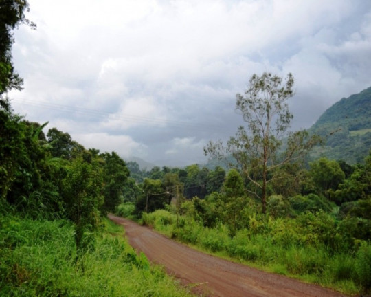 Imagem Imóvel à Venda, em Tirol - Nova Petrópolis Imagem Imóvel à Venda, em Tirol - Nova Petrópolis