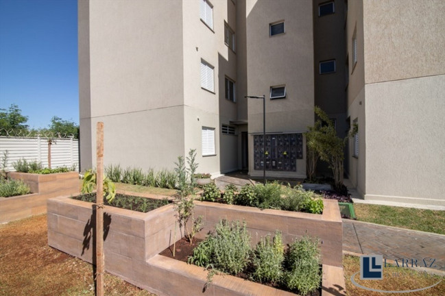 Imagem Imóvel com 2 Quartos à Venda, 43 m² em Valentina Figueiredo - Ribeirão Preto Imagem Imóvel com 2 Quartos à Venda, 43 m² em Valentina Figueiredo - Ribeirão Preto