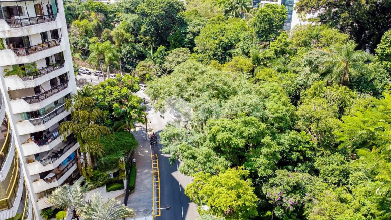 Imagem Apartamento com 3 Quartos à Venda, 300 m² em Higienópolis - São Paulo