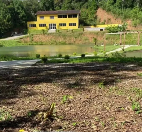 Imóvel com 3 Quartos à Venda, 20.000 m² em Palmitalzinho - Quatro Barras